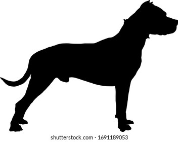 Silhouette eines männlichen Hundes, der in der Aufmerksamkeit steht. Vektorillustration.