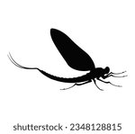 Silhouette of a mayfly or Ephemeroptera.