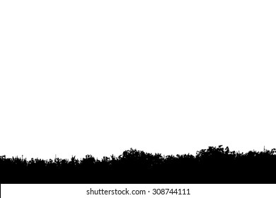 silhouette meadow background