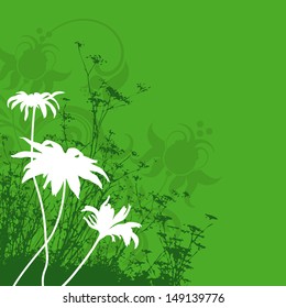 Silhouette of meadow plants