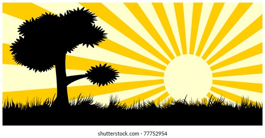 Silhouette of meadows with the rising sun, grass and growing trees