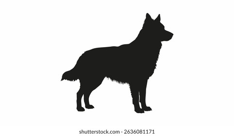 Silhouette of a medium-sized domestic hairy dog ​​standing