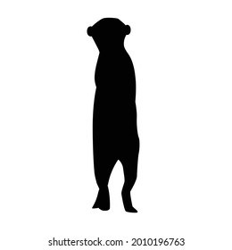 silhouette of meerkat vector isolated background