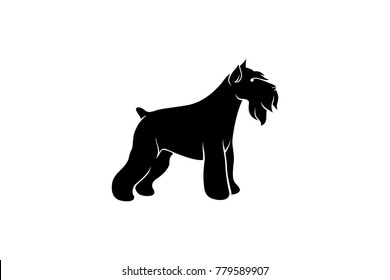 Silhouette Of Mini Schnauzer Dog