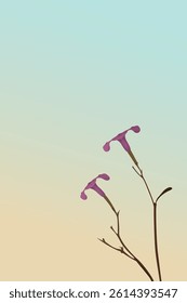 Silhouette minnieroot flowers with sunrise sky vertical background graphic illustration have blank space.