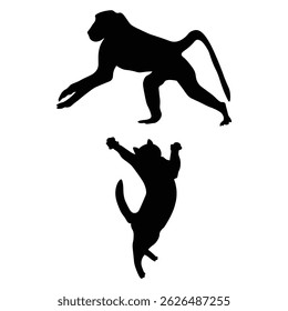 silhouette monkey , silhouette of monkey