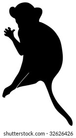 silhouette of monkey