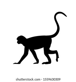 Silhouette of monkey. Animal genus of primates. Vector illustrator