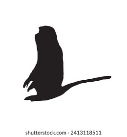 Silhouette of a monkey. Black monkey silhouette on white background