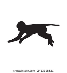 Silhouette of a monkey. Black monkey silhouette on white background