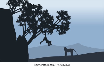silhouette of monkey in fields with gray bakcgrounds