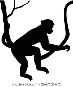 Silhouette of a monkey hanging on tree branches in a simple and minimalist illustration