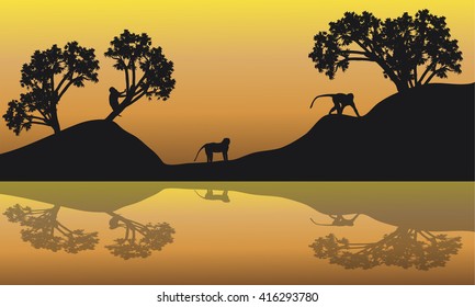 Silhouette of Monkey in lake at the sunrise