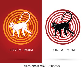 Silhouette Monkey, on cycle background, sign ,logo, symbol, icon, graphic, vector.