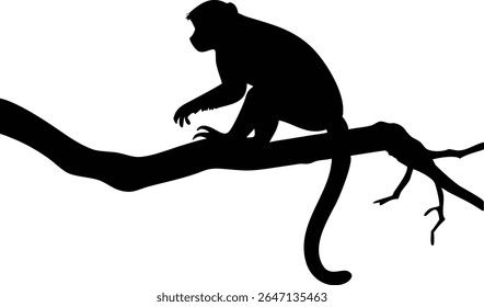 Silhouette of a monkey perched on a tree branch with black and white background