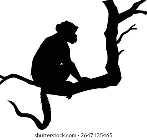Silhouette of a monkey perched on a tree branch in a minimalistic artistic illustration.