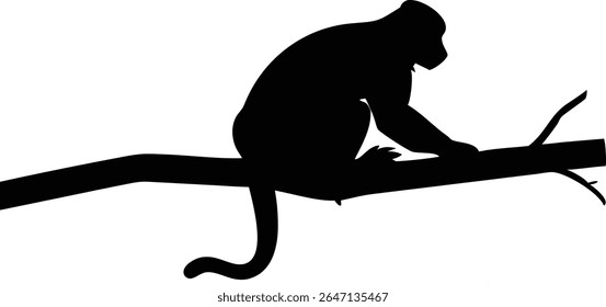 Silhouette of a monkey perched on a tree branch isolated against a white background