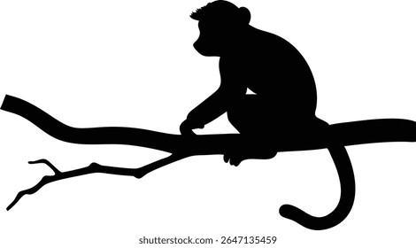 Silhouette of a monkey sitting on a tree branch against a clean white background