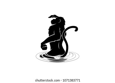 Silhouette of Monkey Standing in the Water Looking Far Away