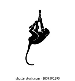 Silhouette monkey vector illustration, creative and modern design.