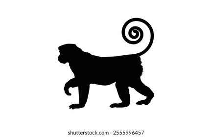 Silhouette of a monkey walking with a curled tail isolated on white background. Simple black vector illustration for design and print