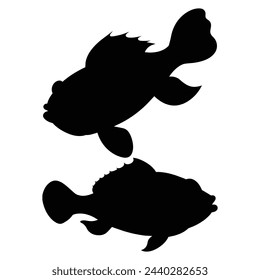 silhouette of a monkfish on white