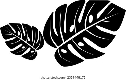 Una silueta de un Monstera adansonii 