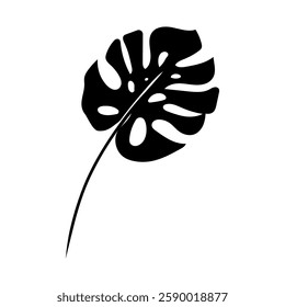 Silhouette of a monstera leaf captured in a doodle style, evoking tropical vibes in a minimalistic design