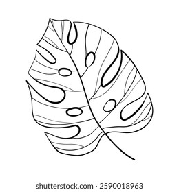Silhouette of a monstera leaf captured in a doodle style, evoking tropical vibes in a minimalistic design