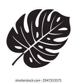 Silhouette of monstera leaves, monstera 