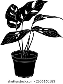 Silhouette of Monstera Plant Vector