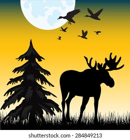 The Silhouette moose on glade in the night.Vector illustration