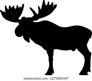 Silhouette: moose from the side