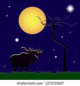 Silhouette of moose and tree at night