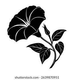 Silhouette of a Morning Glory Flower With Leaves and Bud