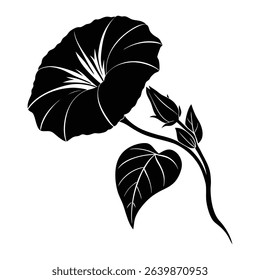 Silhouette of a Morning Glory Flower With Leaves and Bud