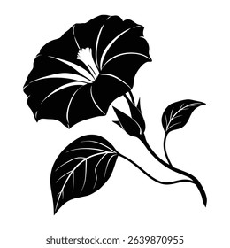 Silhouette of a Morning Glory Flower With Leaves and Bud