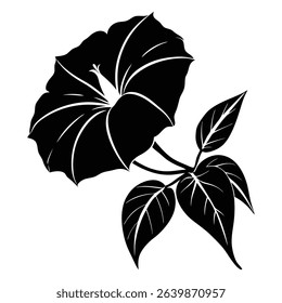 Silhouette of a Morning Glory Flower With Leaves and Bud