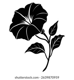 Silhouette of a Morning Glory Flower With Leaves and Bud