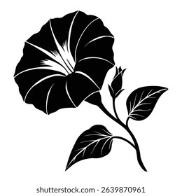 Silhouette of a Morning Glory Flower With Leaves and Bud