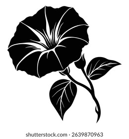 Silhouette of a Morning Glory Flower With Leaves and Bud