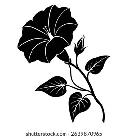 Silhouette of a Morning Glory Flower With Leaves and Bud
