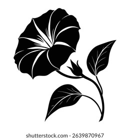 Silhouette of a Morning Glory Flower With Leaves and Bud