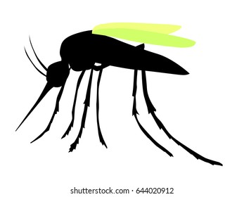 silhouette of mosquito