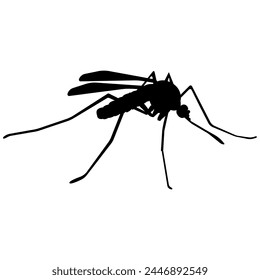 Silhouette of a mosquito, image of a winged insect that carries disease