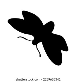 Silhouette of moth. Moth close-up detailed. Vector moth icon on white background.