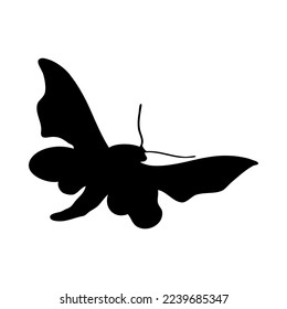 Silhouette of moth. Moth close-up detailed. Vector moth icon on white background.