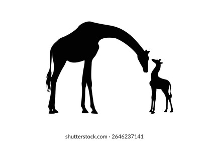 Silhouette of mother giraffe and baby, isolated background. Vector illustration.