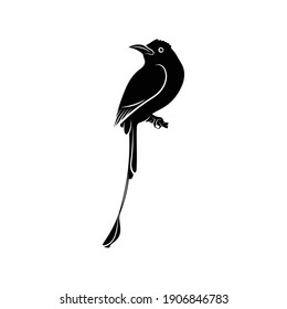 Silhouette motmot bird vector illustration design, creative design.