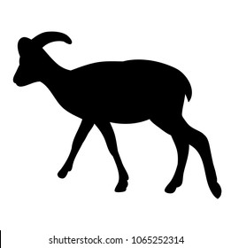 silhouette of a mountain goat